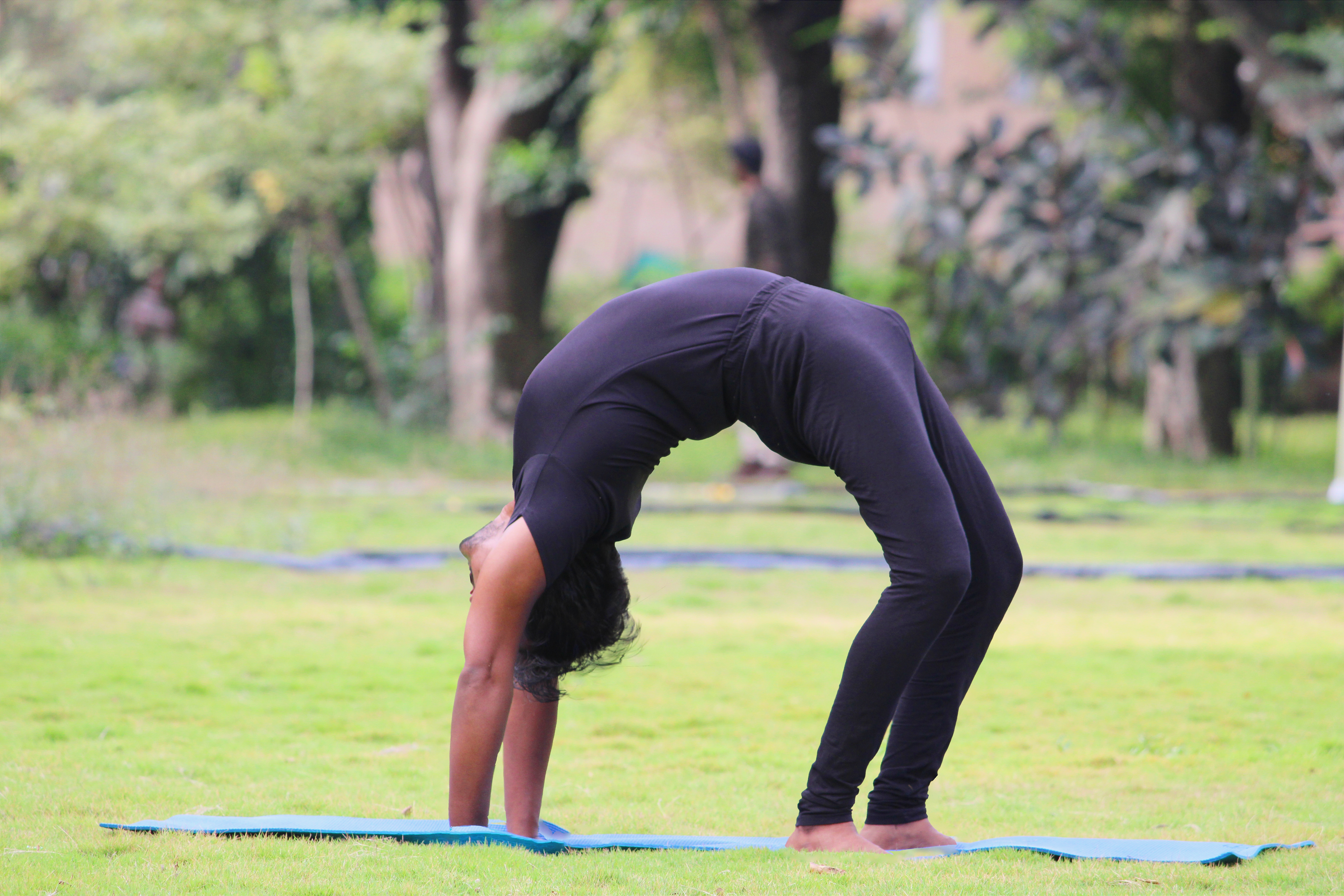 Yoga Wellness Instructor Course